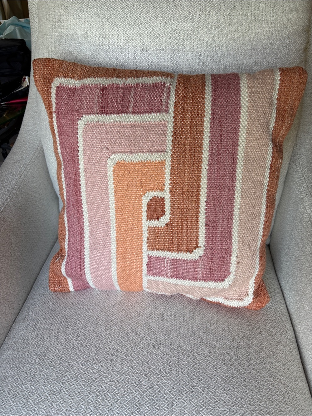 World Market Decorative Throw Pillow